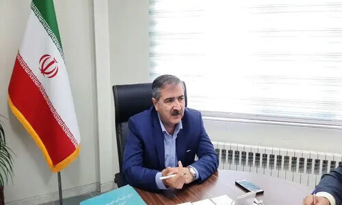 ۱۵ میلیارد تومان تسهیلات ویژه مشاغل خانگی در سامان؛ تحقق وعده‌ها در انتظار است!