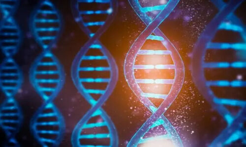 فاش شدن رازهای پنهان DNA با نقشه سه‌بعدی بی‌سابقه ژنوم انسان