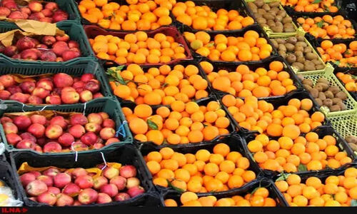 علیمحمدی: نظارت بی‌سابقه بر بازار ایلام؛ برخورد قاطع با گران‌فروشان آغاز شد