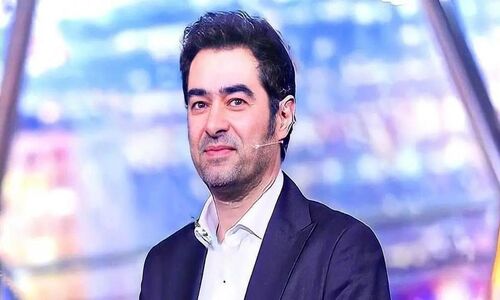 عکس مادر زیبای شهاب حسینی+ بیوگرافی و دکوراسیون آشپزخانه