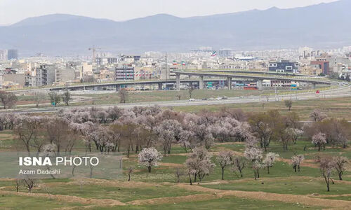 چگونه باغستان‌های سنتی قزوین، نفس تازه‌ای به هوای شهر می‌بخشند؟