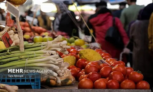 موسوی خبر داد: بازارچه‌های میوه و تره‌بار جدید در اردبیل به زودی راه‌اندازی می‌شود!