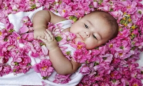 تماس مکرر با فتالات‌ها؛ تهدید پنهان ناباروری و اختلال رشد عصبی جنین
