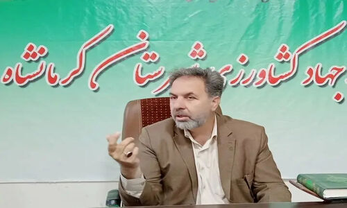 توسعه زعفران در فیروزآباد؛ راهی نوین برای اشتغال‌زایی کشاورزان