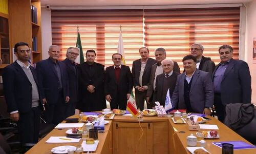 رئیس زاده هشدار داد: بیمه‌ها قیمت واقعی ویزیت پزشکان را نمی‌پردازند، آینده خدمات درمانی در خطر!