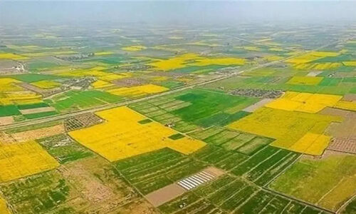 لرستان در مسیر تحول کشاورزی؛ وعده اشتغال 20 هزار نفری تا 1405 تحقق می‌یابد؟