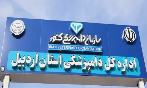 هشدار جدی دامپزشکی اردبیل: موج آنفلوانزای فوق حاد پرندگان در راه است!