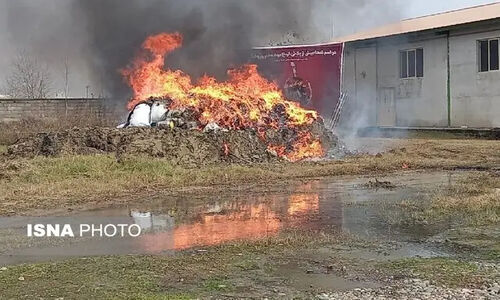 امحای حیرت‌انگیز بیش از یک تن مواد مخدر در گیلان؛ پلیس در خط مقدم مبارزه!