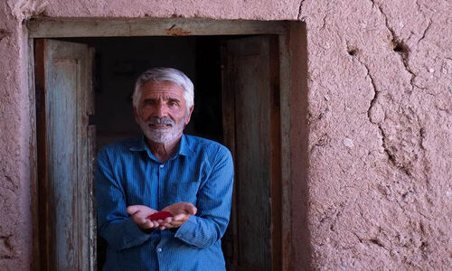 استارتاپ «رویای آب» چگونه با کم‌آبی می‌جنگد؟ کشمون: زعفران طلایی نجات‌بخش ایران است!