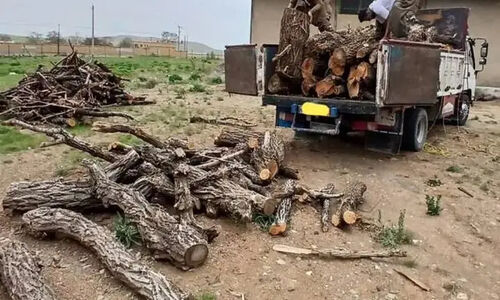 کشف بزرگ چوب‌های غیرمجاز در سوادکوه شمالی؛ نیروی یگان حفاظت در عمل!