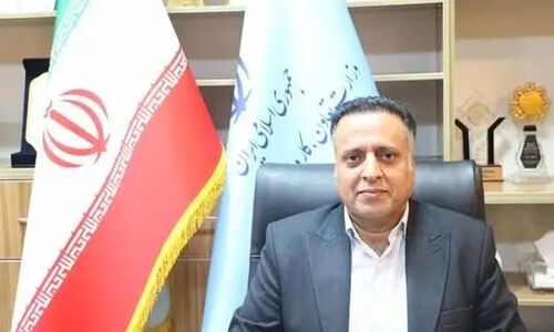 هرمزگان چگونه در پرداخت تسهیلات مشاغل خانگی در کشور رتبه دوم شد؟