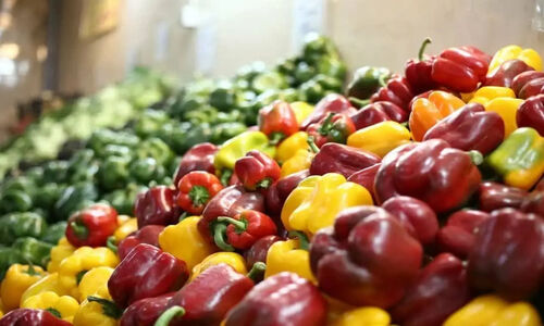 افتتاح ۵ بازار میوه و تره‌بار تازه در تهران؛ وعده ۱۰ بازار جدید تا اردیبهشت ۱۴۰۵