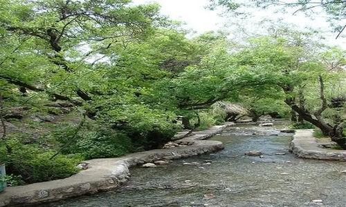 چشمه قدمگاه فارس به‌عنوان اثر طبیعی ملی ثبت شد؛ خانه هشت گونه ماهی نادر!