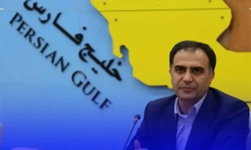 معاون استاندار بوشهر: سرمایه‌گذاری در حوزه اقتصاد دریامحور ضروری است