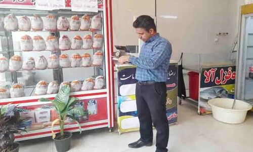 تداوم بازدید از مراکز عرضه مرغ شاهرود؛ یک تخلف ثبت شد