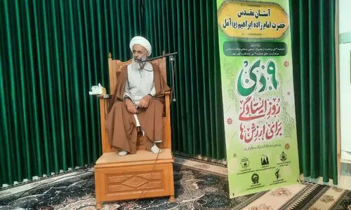 استاد حوزه و دانشگاه: حماسه ۹ دی تمام توطئه‌های دشمنان را خنثی کرد