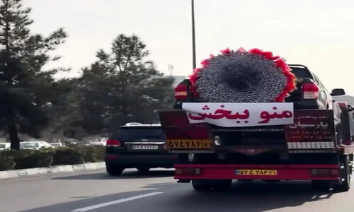 عذرخواهی لاکچری یک مرد از نامزدش در خیابان‌های تهران