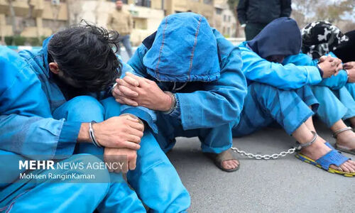 دستگیری ۱۴ سارق و کشف ۲۷ فقره سرقت در گنبدکاووس