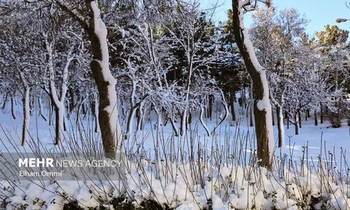 بارش برف در مناطق مختلف کاشان و آران و بیدگل