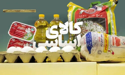 سخنگوی دولت: سبد کالا و اعتبار برای کنترل معیشت مردم نهایی می‌شود