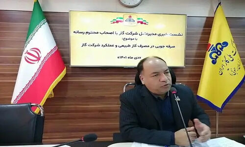 ۹۳ درصد مشترکان گاز خراسان جنوبی کم‌مصرف هستند؛ اصلاح قبوض پر مصرف