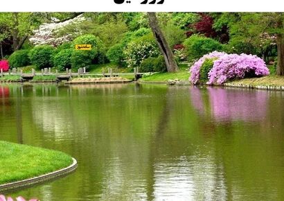 فال ابجد روزانه چهارشنبه 10 دی 1404 / درِ نعمت باز شد و زندگی لبخند تازه‌ای به تو بخشید؛ آرامش از این لحظه آغاز می‌شود