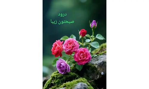 طالع بینی امروز 10 دی + فیلم