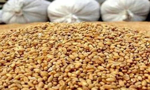 نهاده‌های دامی 80 هزار تومانی امنیت غذایی را تهدید می‌کند
