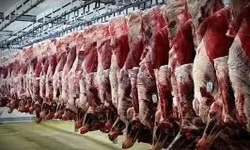 ورود 7000 تن گوشت قرمز از طریق مرزهای سیستان و بلوچستان