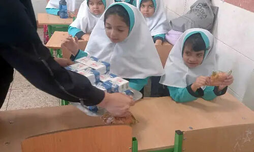 رشد بیش از ۵۰ درصدی بودجه شیر مدرسه در لایحه سال ۱۴۰۵