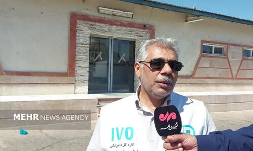 ورود بیش از ۷ میلیون کیلوگرم گوشت قرمز به سیستان و بلوچستان