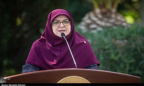 مهاجرانی: آیین‌نامه تضمین امنیت غذایی تصویب شد