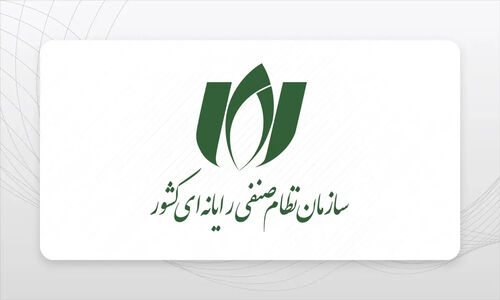 هشدار نظام صنفی رایانه به دولت: امنیت شبکه کشور آسیب پذیر است