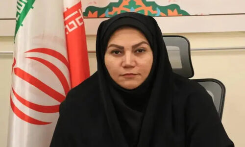 ارتقای درجه ۸۰۳ دهیاری در استان پس از نزدیک به ۹ سال