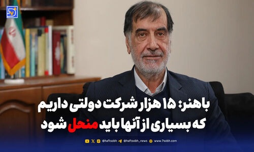 باهنر فاش کرد: ۱۵ هزار شرکت دولتی که سرنوشت مبهمی دارند!
