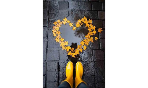 فال حافظ| 21 دی