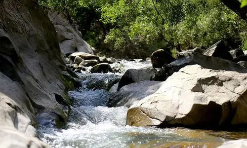 پیک‌نیک| سفر کوتاه اما جذاب به چال ماهی: بهترین نکات و ترفندها + عکس