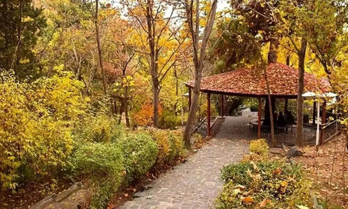 پیک‌نیک| پاییزگردی در تهران؛ پارک‌ های محبوب از لویزان تا پردیسان