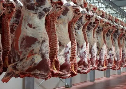 قیمت گوشت امروز 12 بهمن؛ بازهم افزایش قیمت
