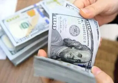 قیمت دلار امروز یکشنبه 12 بهمن 1404 / دلار آرام شد
