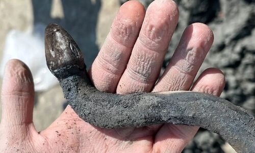 گنج «مارِ نگهبان» بعد از دو هزار سال از «چشمۀ آبگرم» بیرون آمد