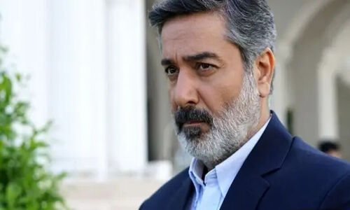 رونمایی از همسر واقعی حمیدرضا پگاه، طاهای سریال آوای باران