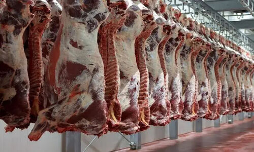 قیمت گوشت قرمز امروز 27 بهمن1404/ بازار آرام و باثبات باقی ماند